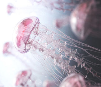 低空無人機測繪：高效、精確、廣泛應用的新興技術